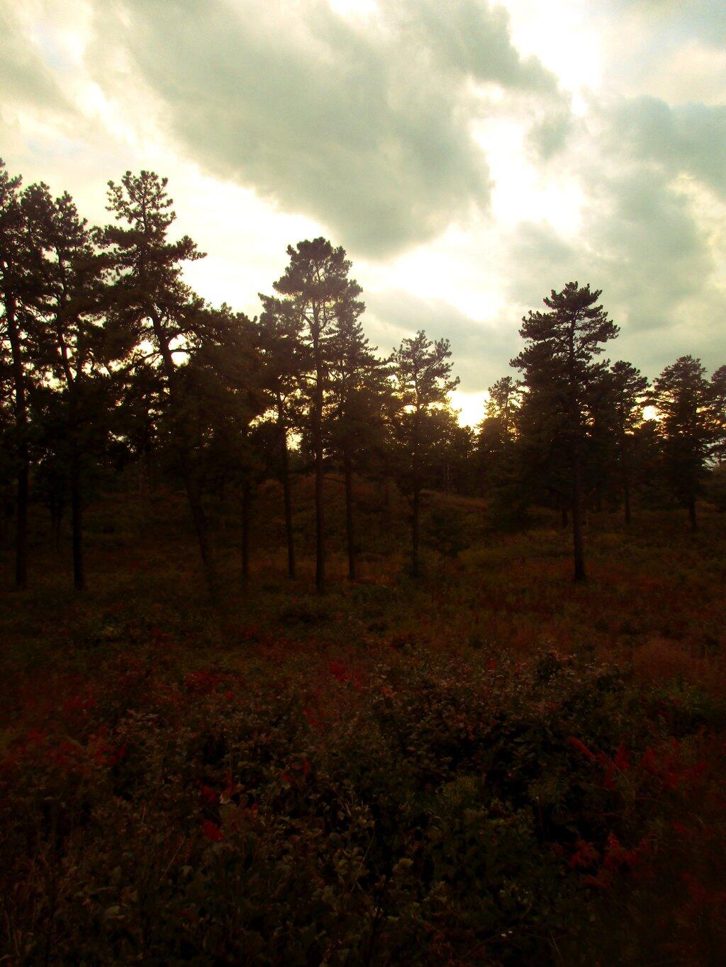 Photo: Clouds Roll In
