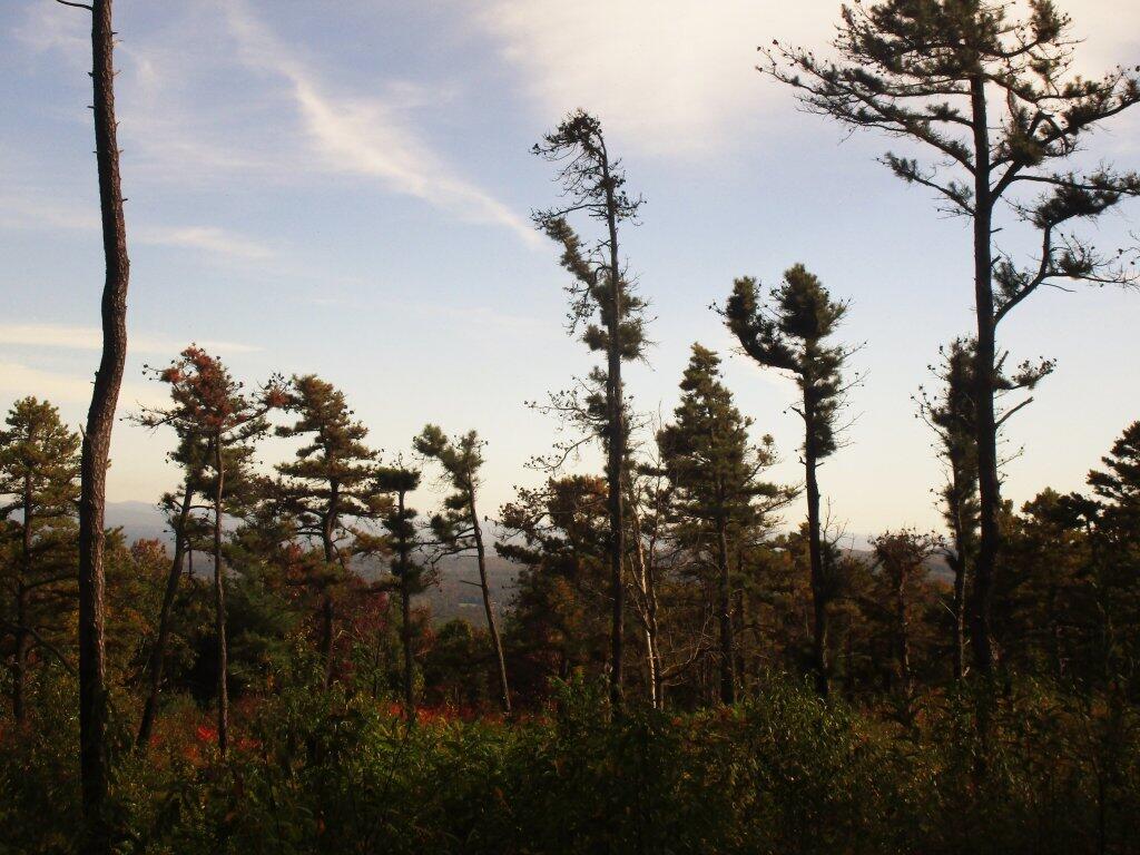 Photo: Mountain View