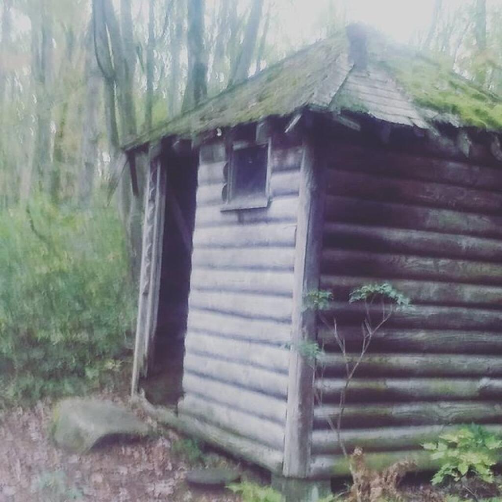 Photo: Shack on Coal Knob Photo: Shack on Coal Knob