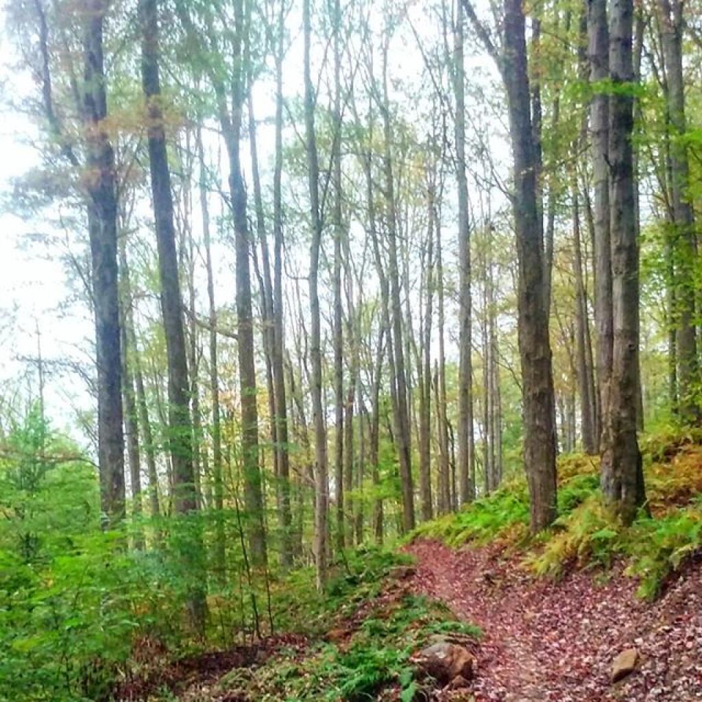 Photo: Elijah Run Bike Trail