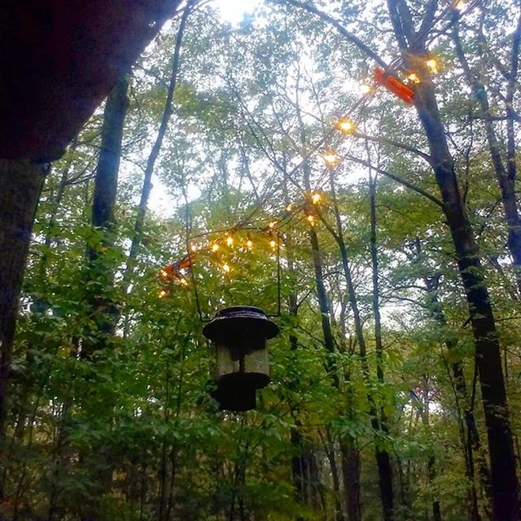 Photo: Rainy day feeling