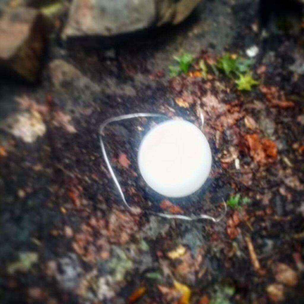 Photo: Litter that blew in