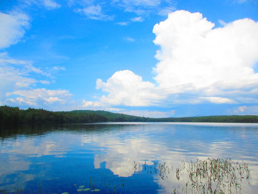 Photo: Summers Day