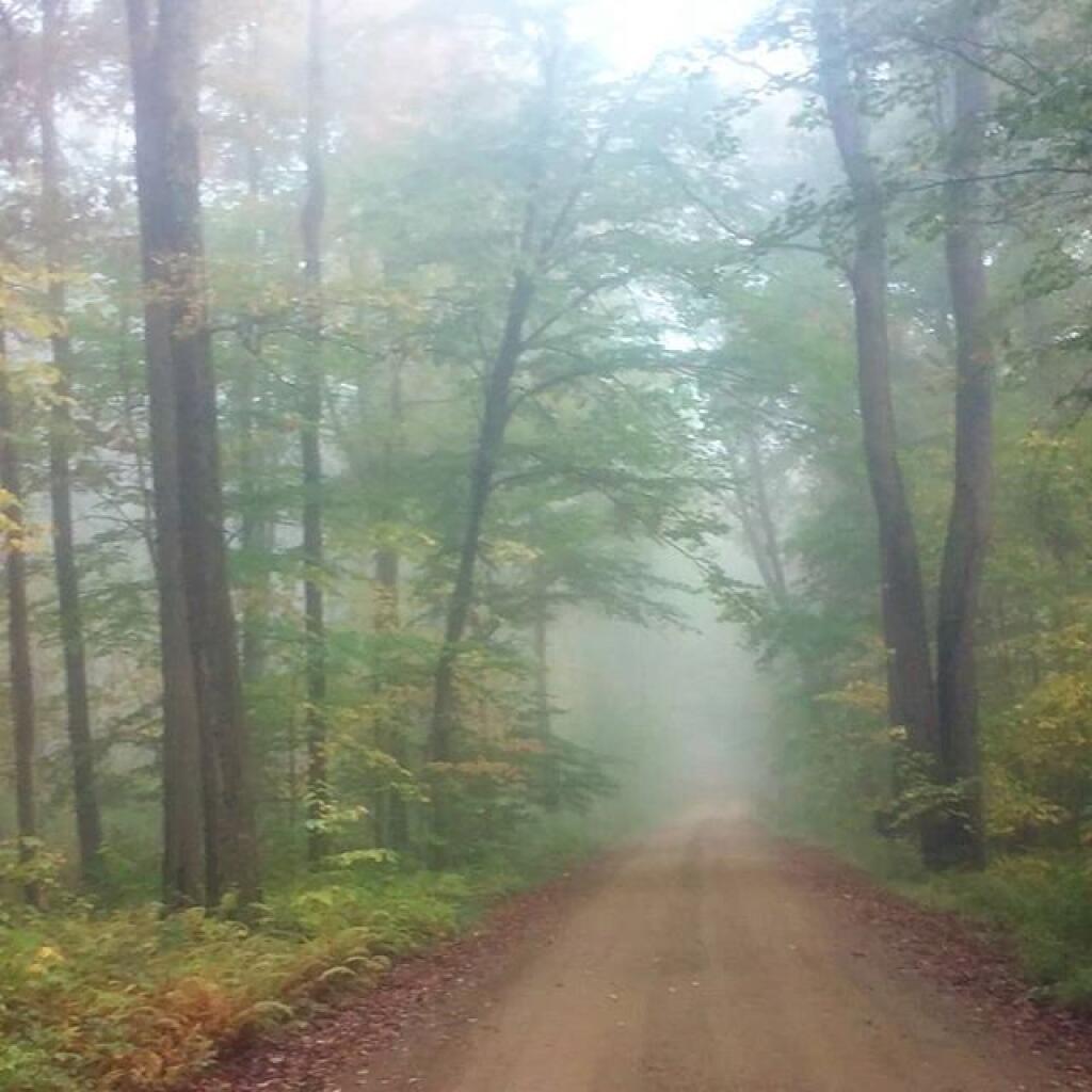 Photo: Foggy Photo: Foggy