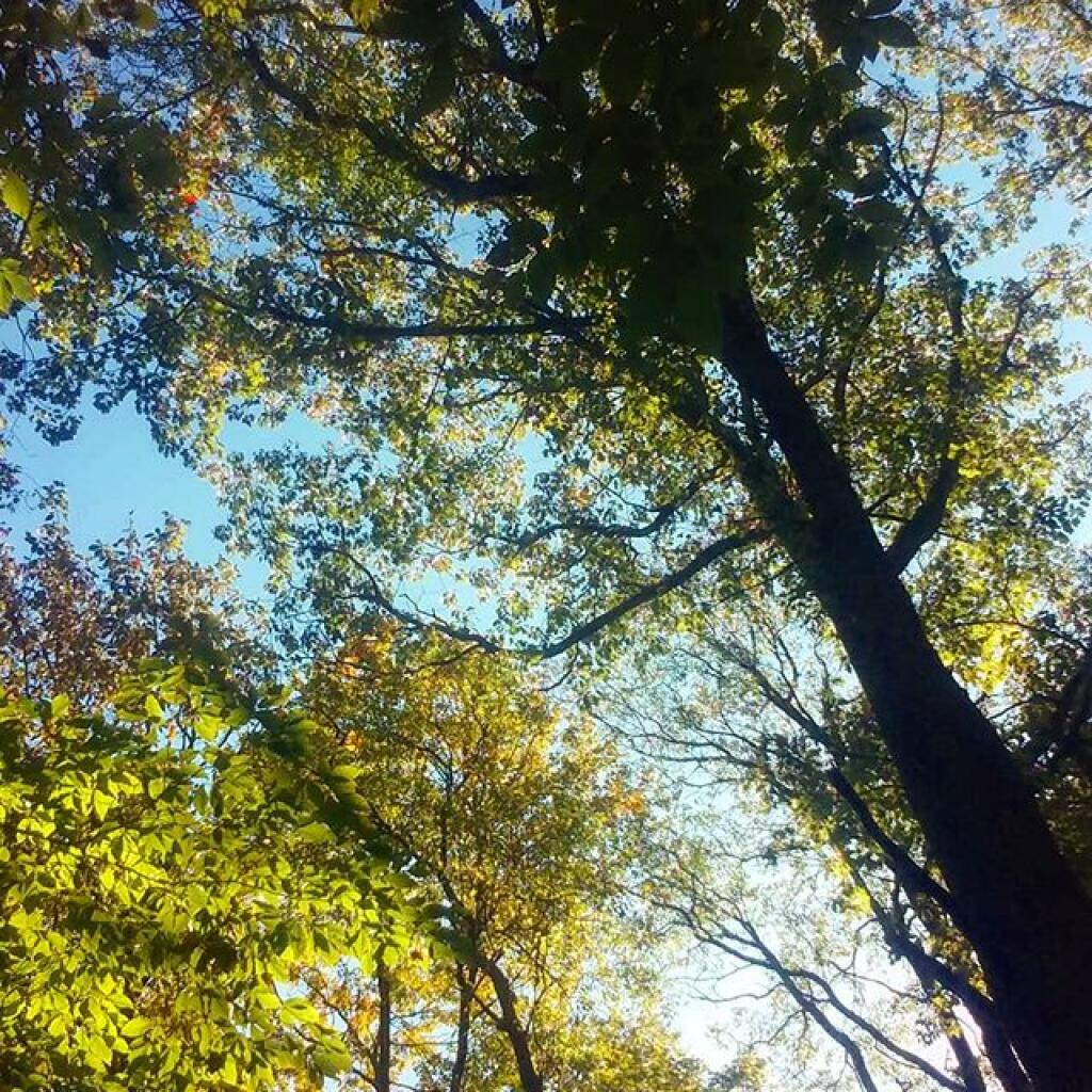 Photo: Beautiful autumn day Photo: Beautiful autumn day