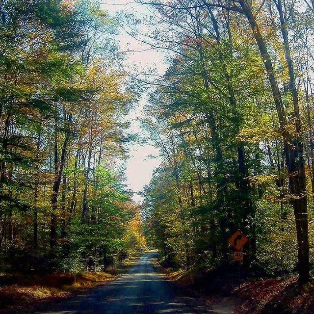 Photo: Loleta in Autumn Photo: Loleta in Autumn