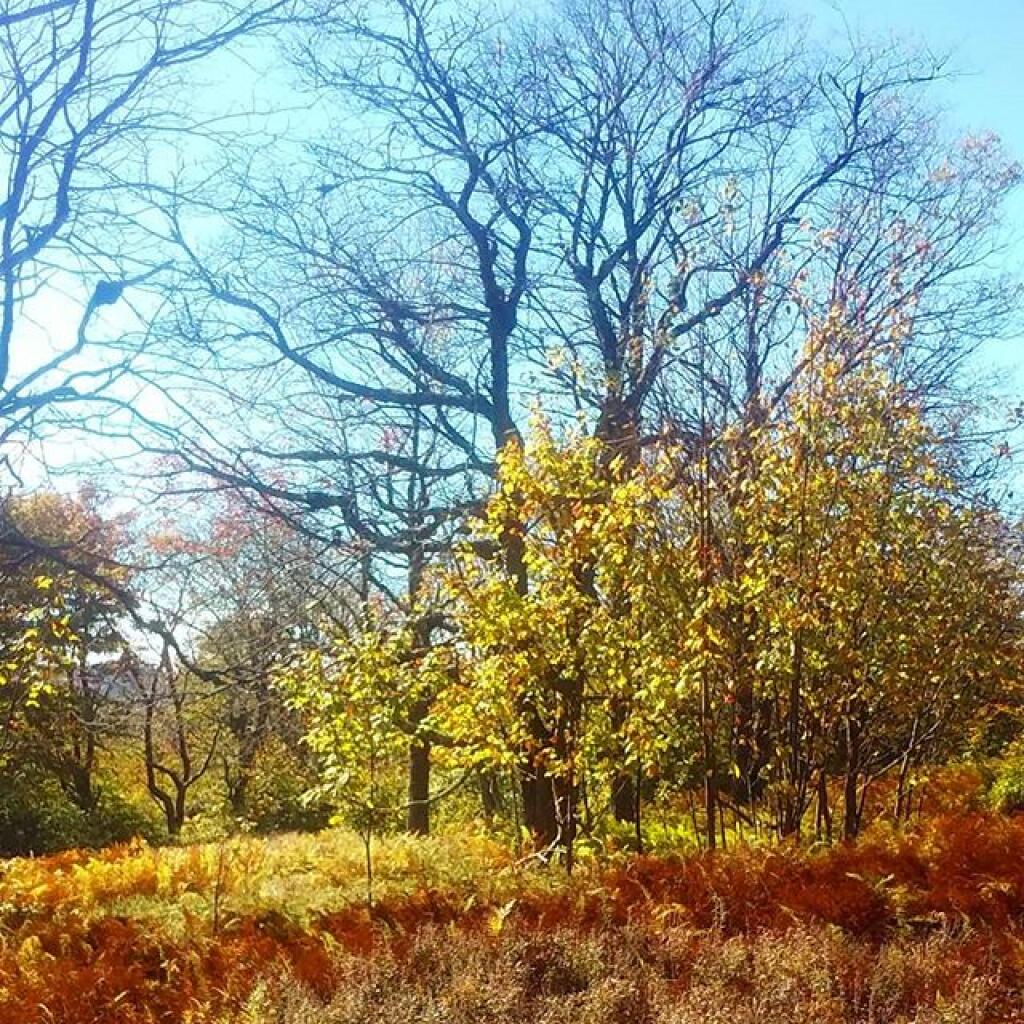 Photo: Autumn is the best season Photo: Autumn is the best season