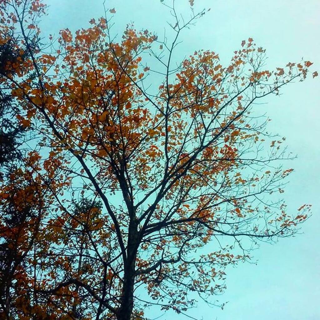 Photo: Drizzle this morning Photo: Drizzle this morning