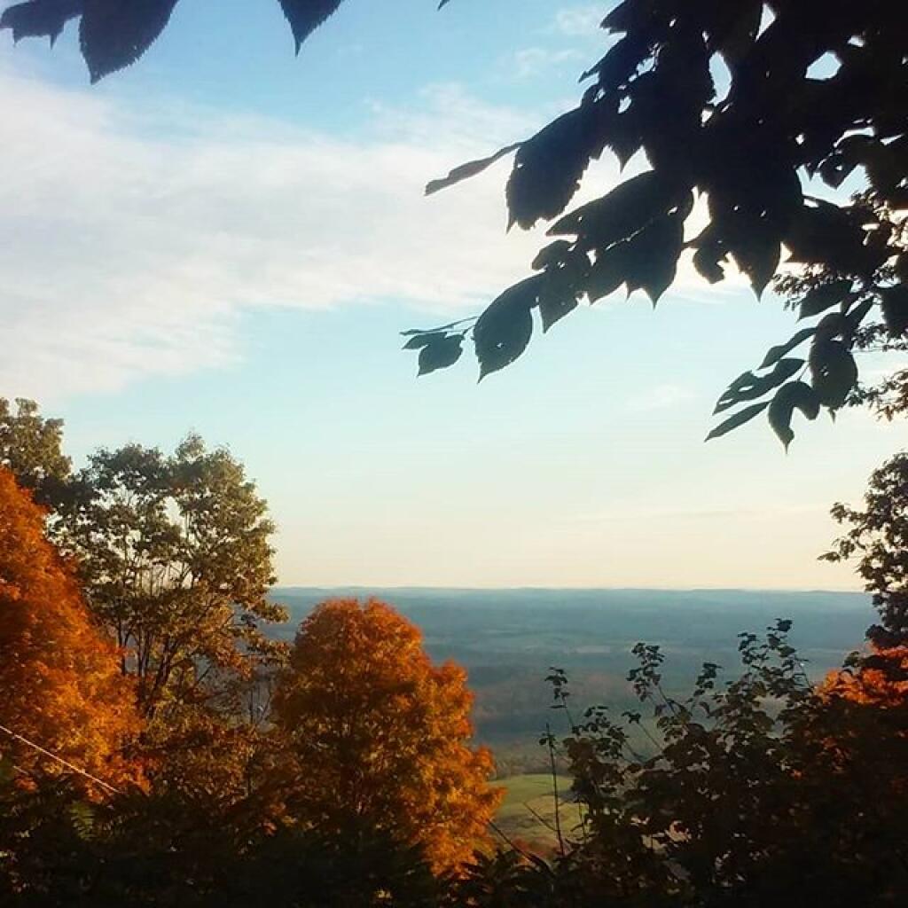 Photo: Northview