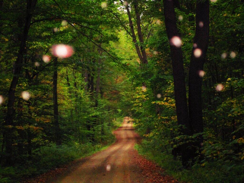 Photo: Rainy Day