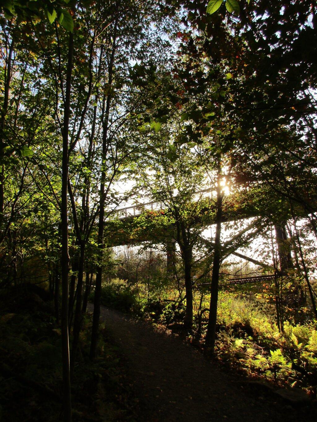 Photo: Sun