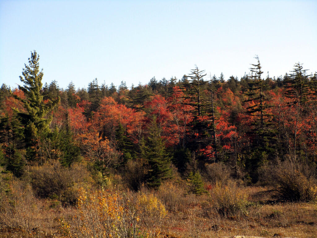 Photo: Autumn Colors Photo: Autumn Colors