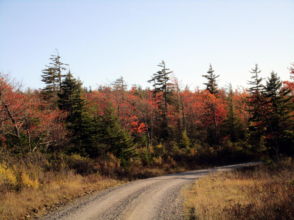 Photo: Gravel Road Photo: Gravel Road