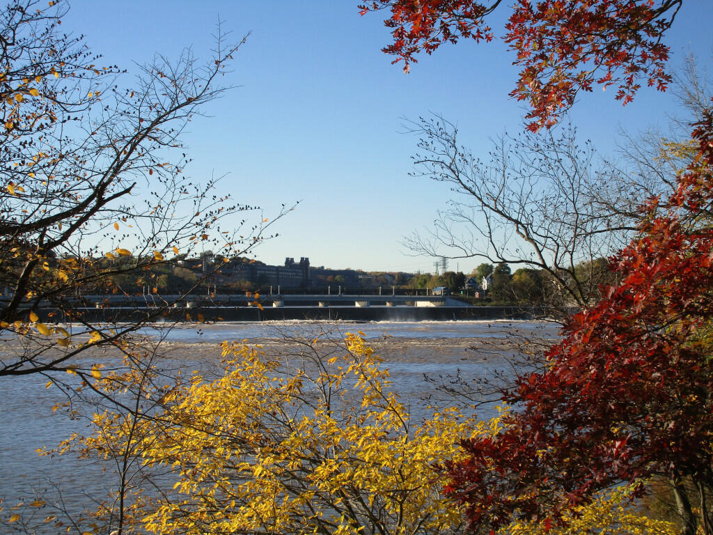 Photo: Harmony Mills