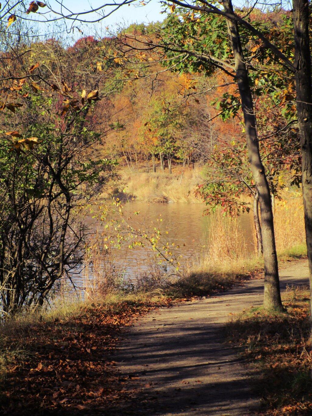 Photo: Inviting Photo: Inviting