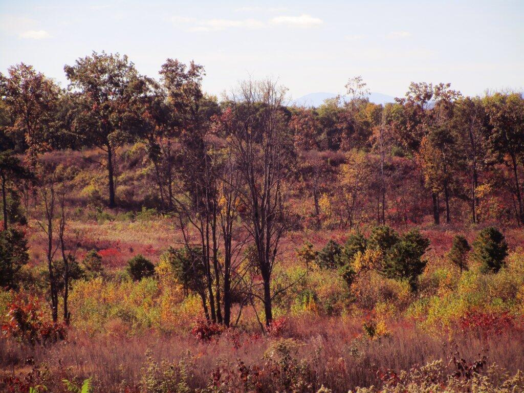 Photo: South
