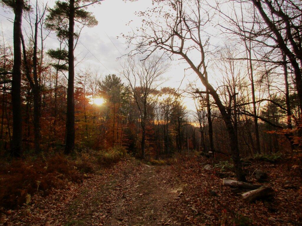 Photo: Almost Made Me Think Of November
