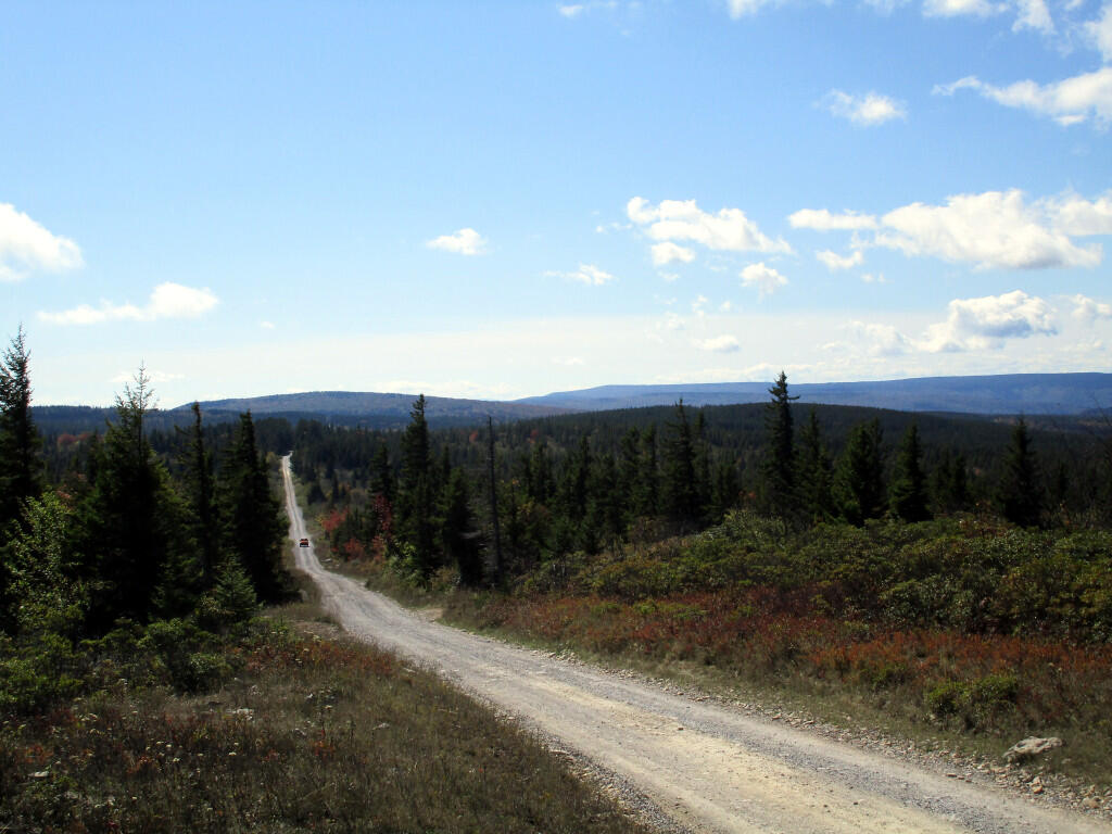 Photo: Dolly Sods Road Photo: Dolly Sods Road