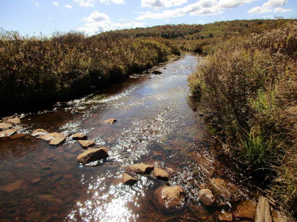 Photo: Red Creek Crossing