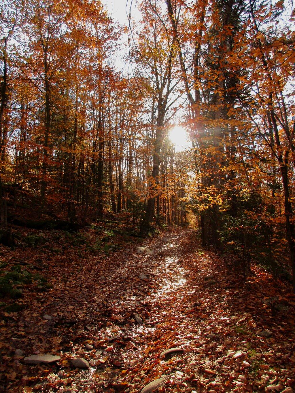 Photo: Trail View