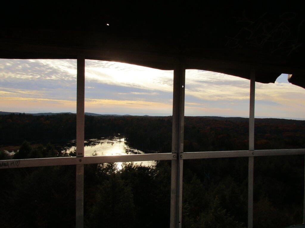 Photo: Wetland From Tower Windows