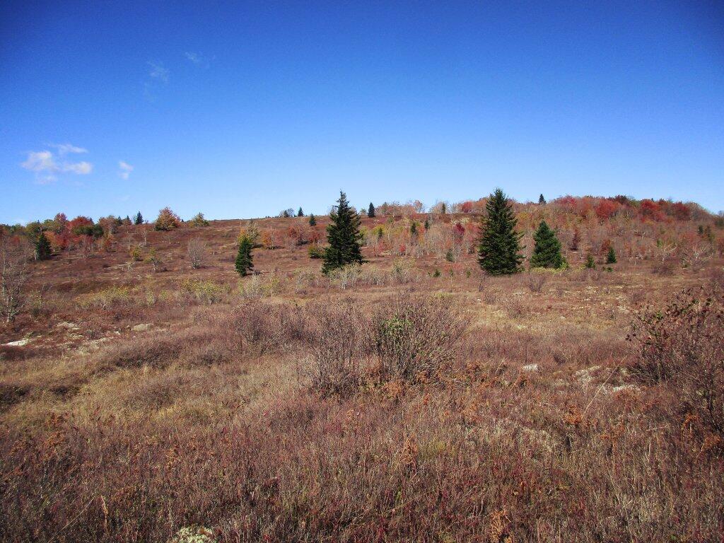 Photo: Western Slope