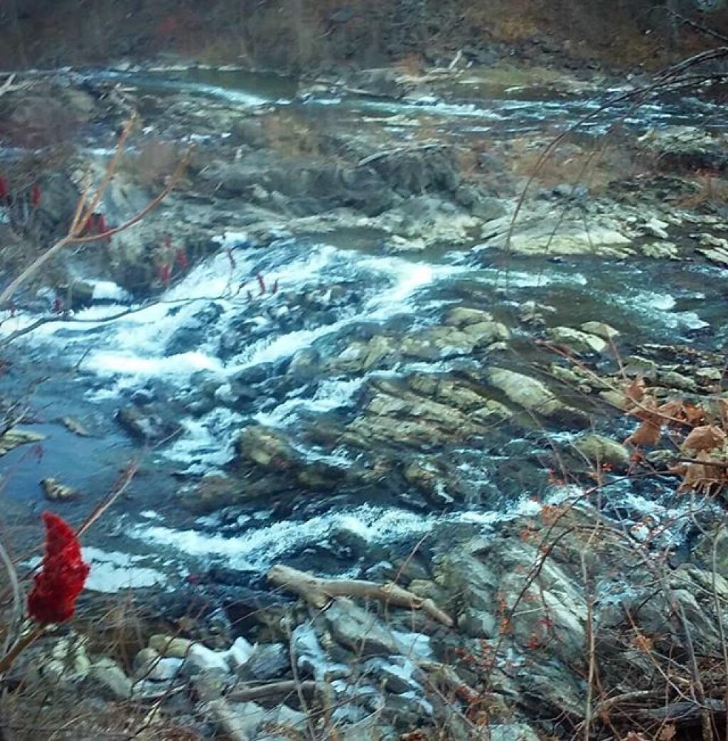 Photo: Not much water on Norman's Kill Falls