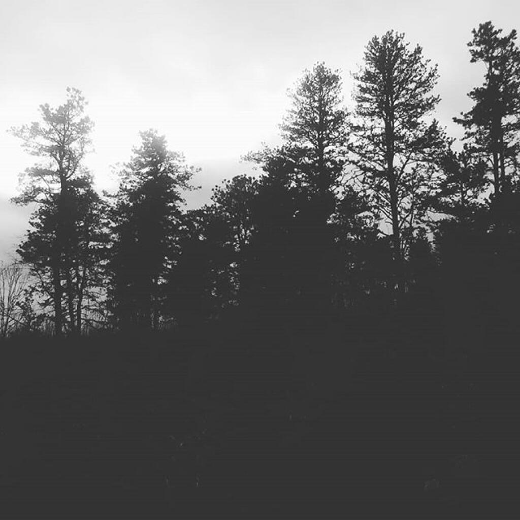 Photo: November can be gray