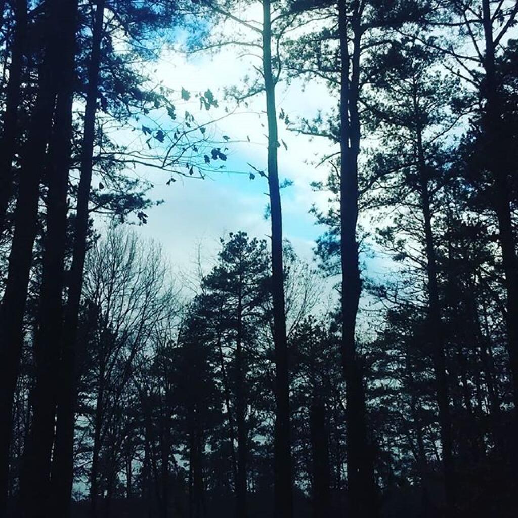 Photo: Shadows
