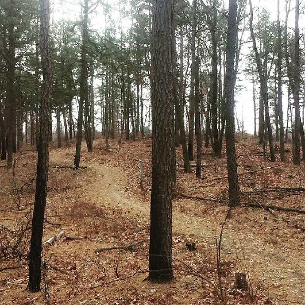 Photo: Trail