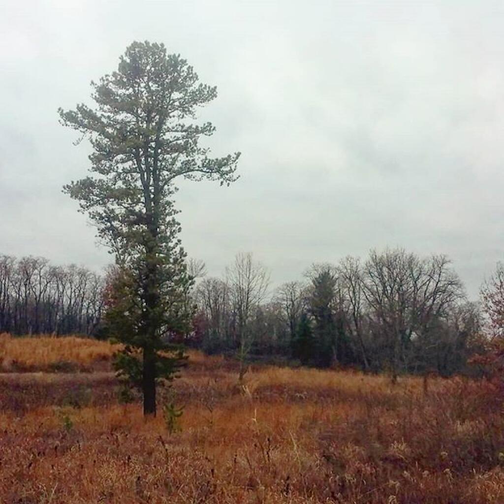 Photo: Lone Pine