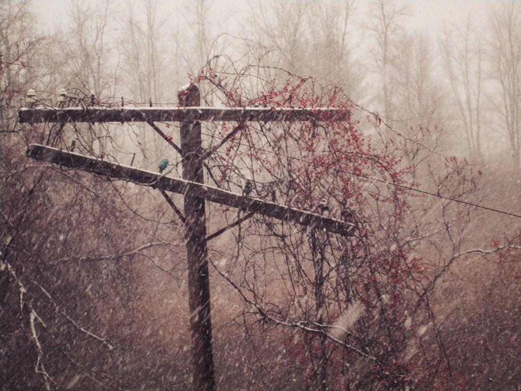Photo: Telegraph Lines Photo: Telegraph Lines