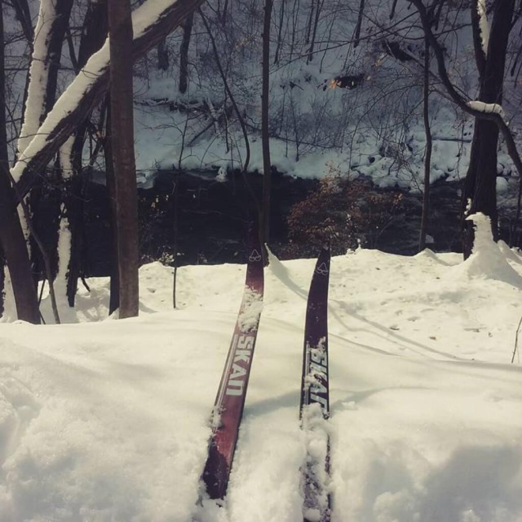 Photo: Not planning on going swimming today Photo: Not planning on going swimming today