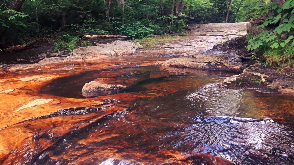 Photo: Goldmine Stream Falls Photo: Goldmine Stream Falls