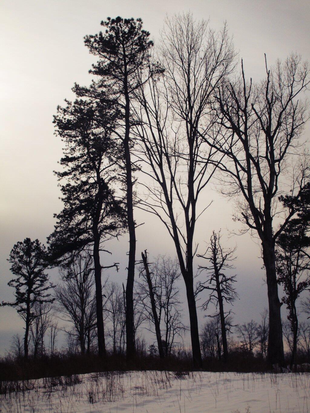 Photo: Towering Over