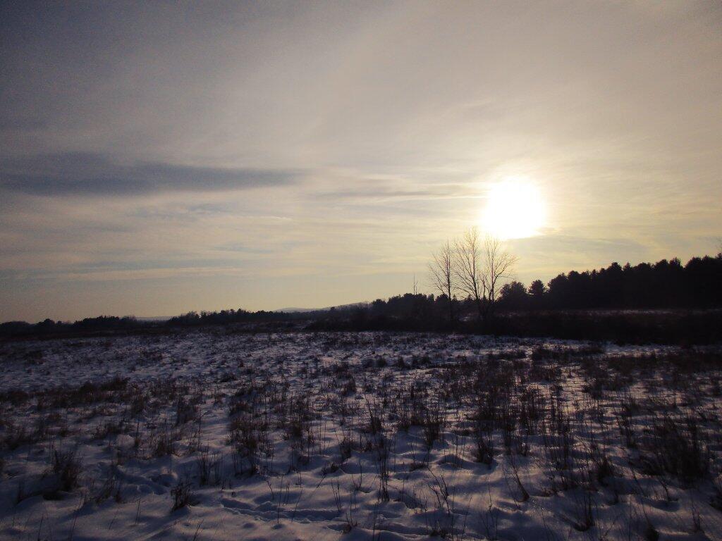 Photo: Winters Afternoon Photo: Winters Afternoon