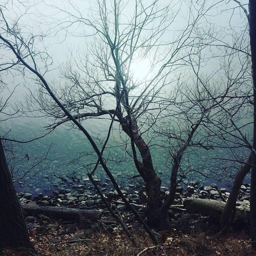 Photo: Glimmer