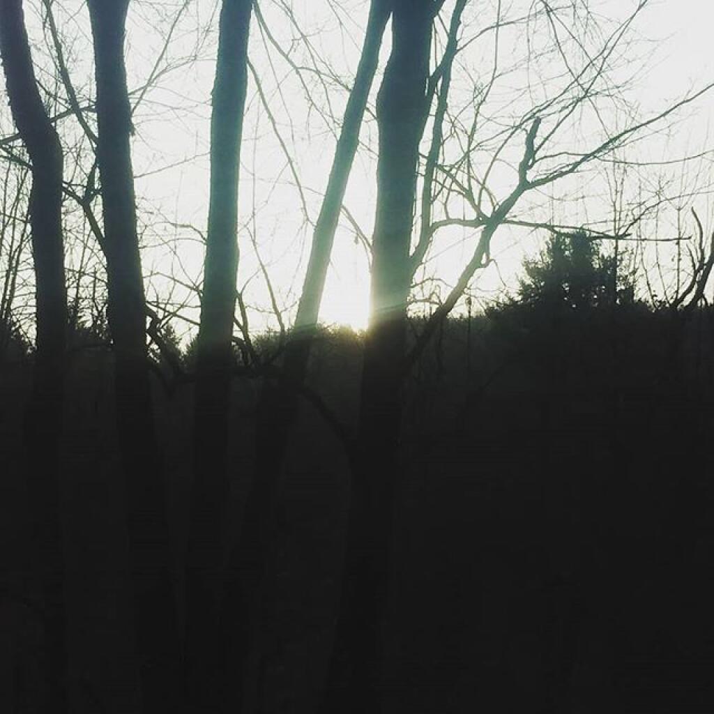 Photo: Nine o'clock sunrise in the Hollow Photo: Nine o'clock sunrise in the Hollow