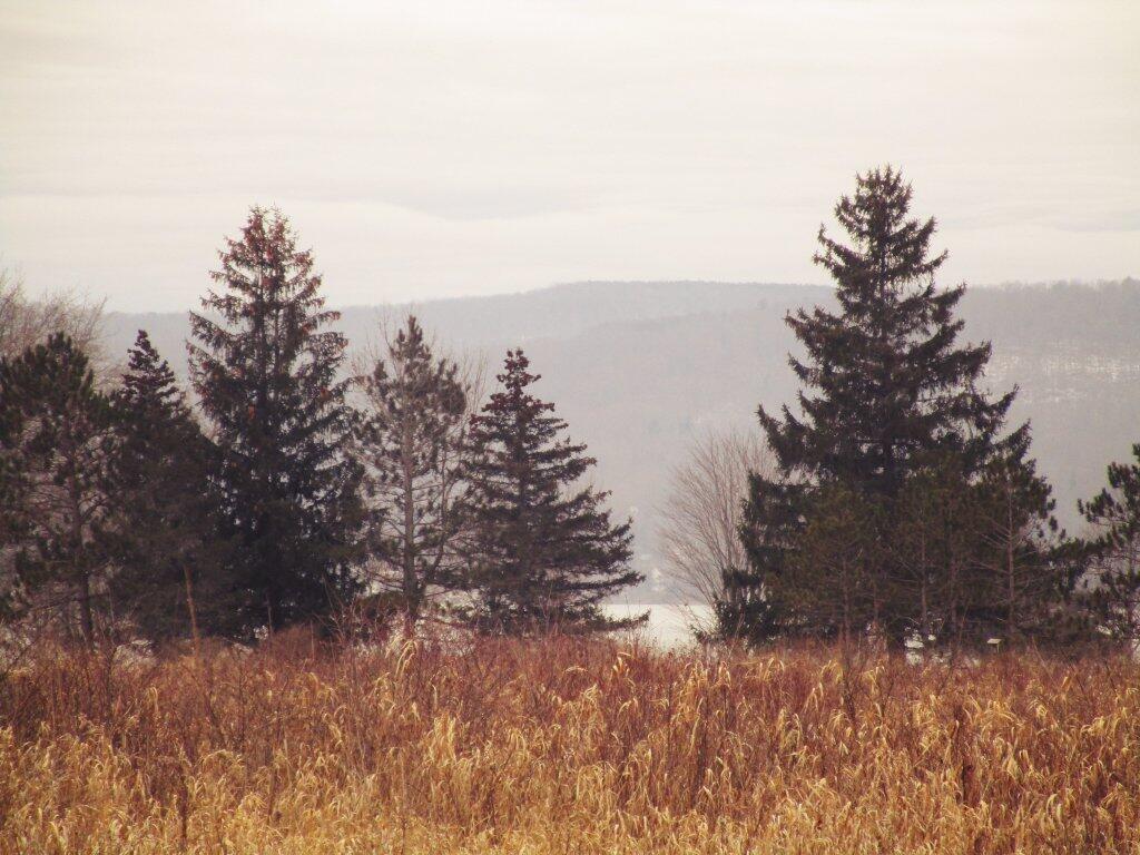 Photo: Hazy Winter Day
