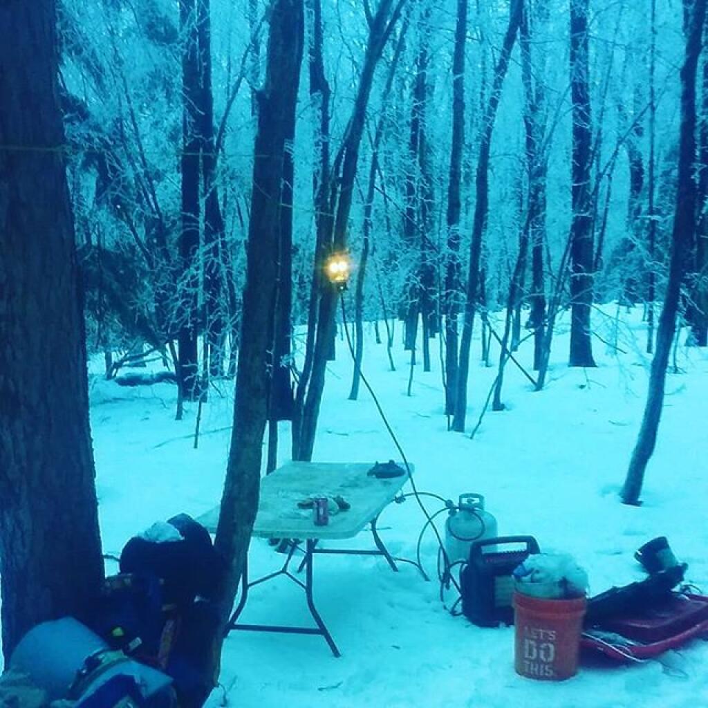Photo: Pretty with all the ice on the trees