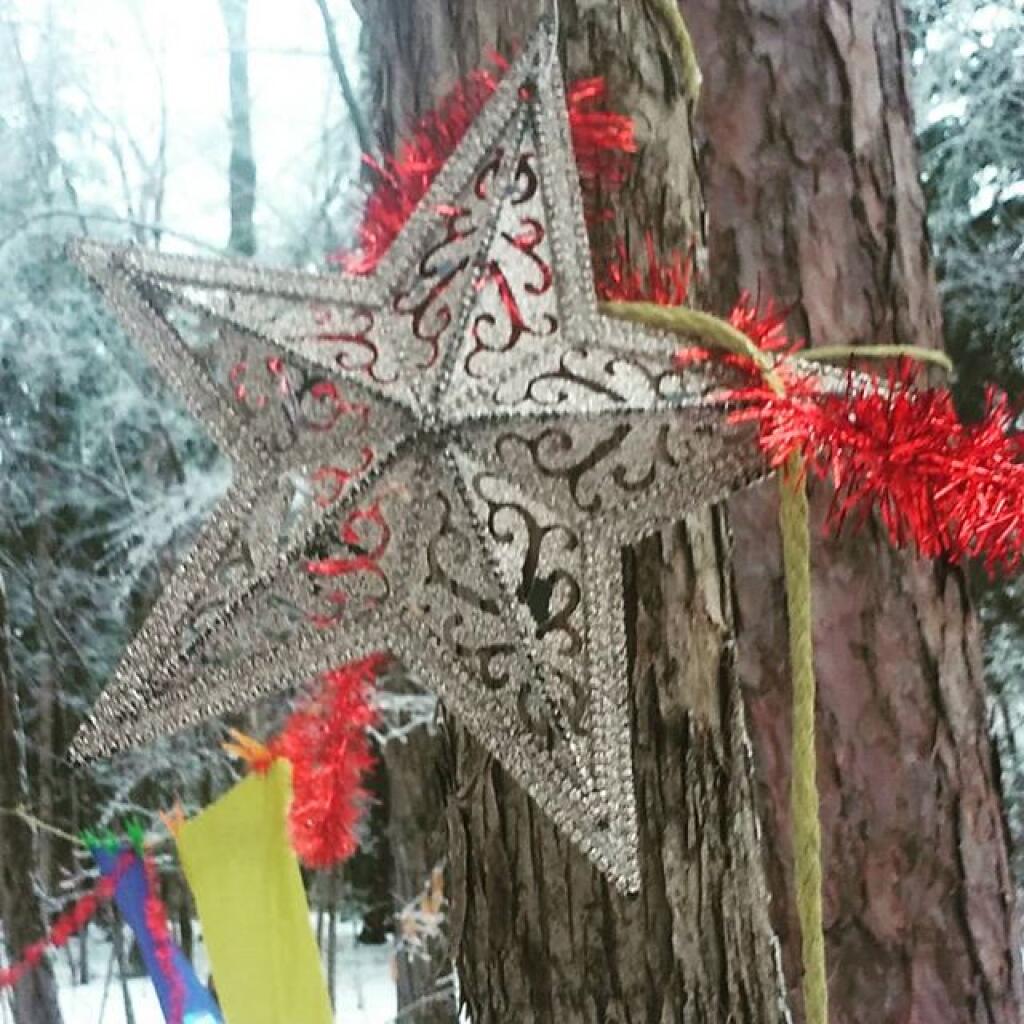 Photo: Star Photo: Star