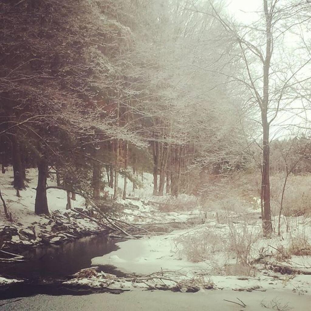 Photo: Definitely pretty with the ice on the trees Photo: Definitely pretty with the ice on the trees