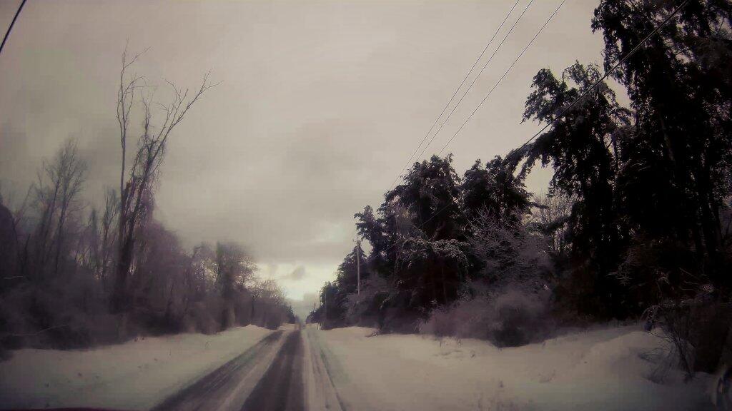 Photo: Some Sections Had Downed Trees