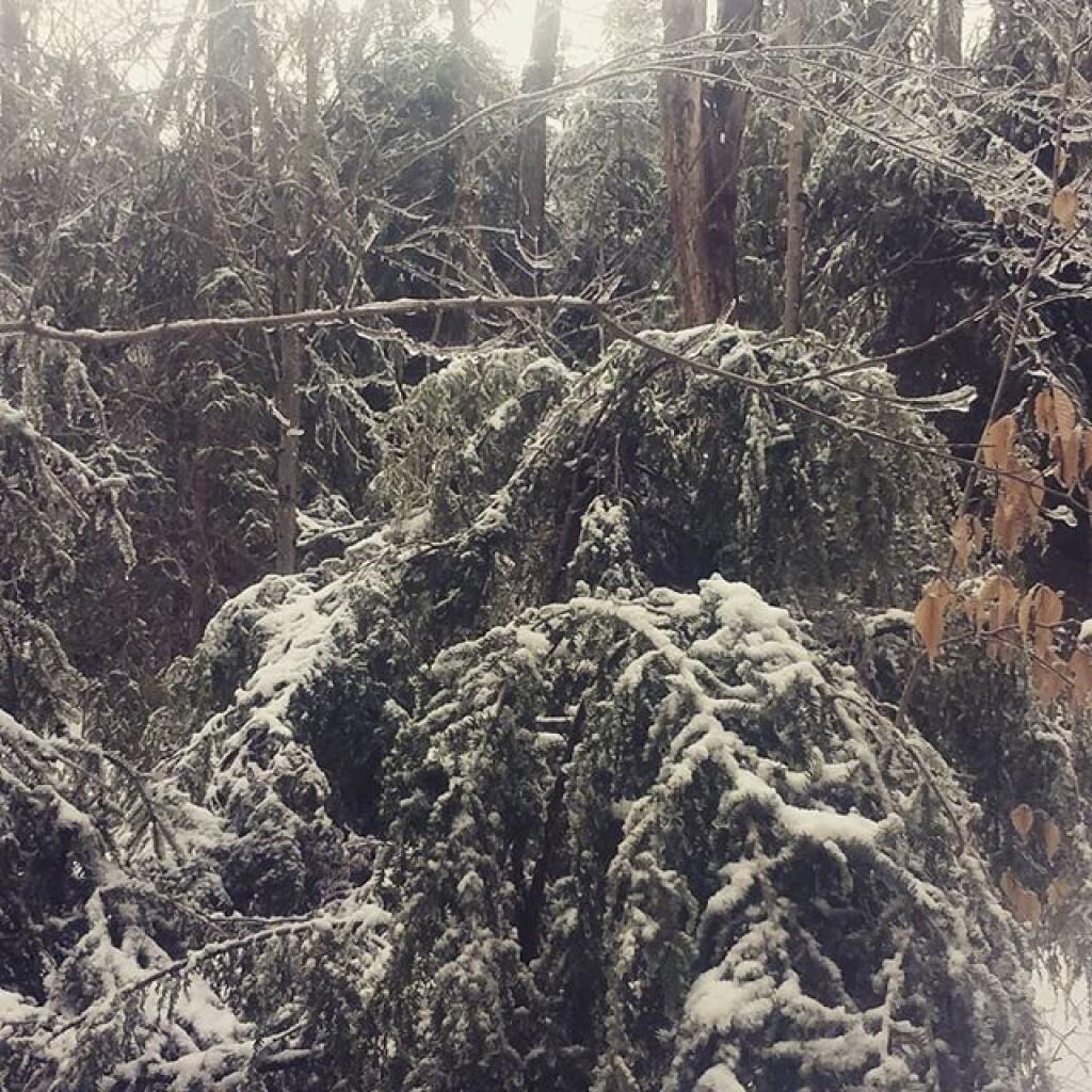 Photo: Bend