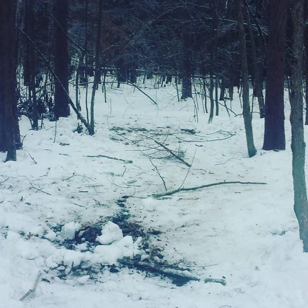 Photo: While I couldn't push back all the refrozen snow, I carefully scattered the ashes and unburnt brush over the site Photo: While I couldn't push back all the refrozen snow, I carefully scattered the ashes and unburnt brush over the site
