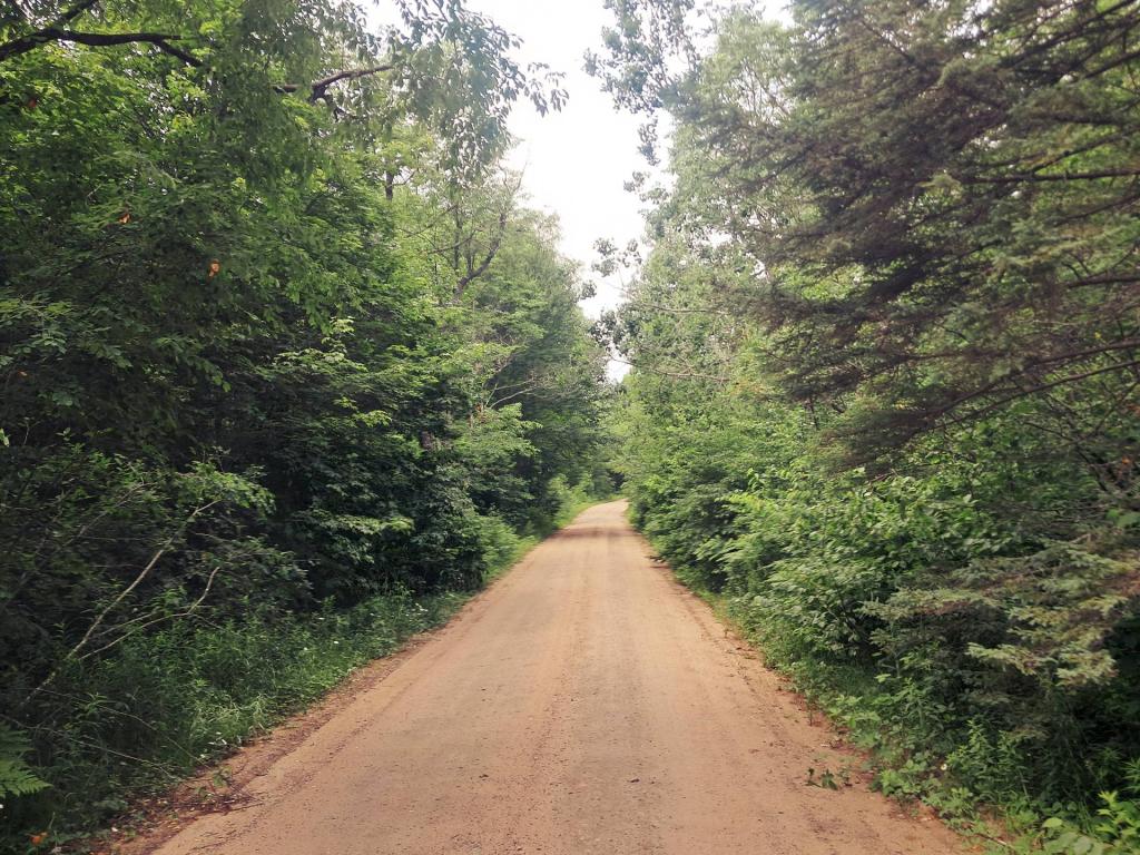Photo: Love Walking Along the Old Sandy Otter Brook Road Photo: Love Walking Along the Old Sandy Otter Brook Road