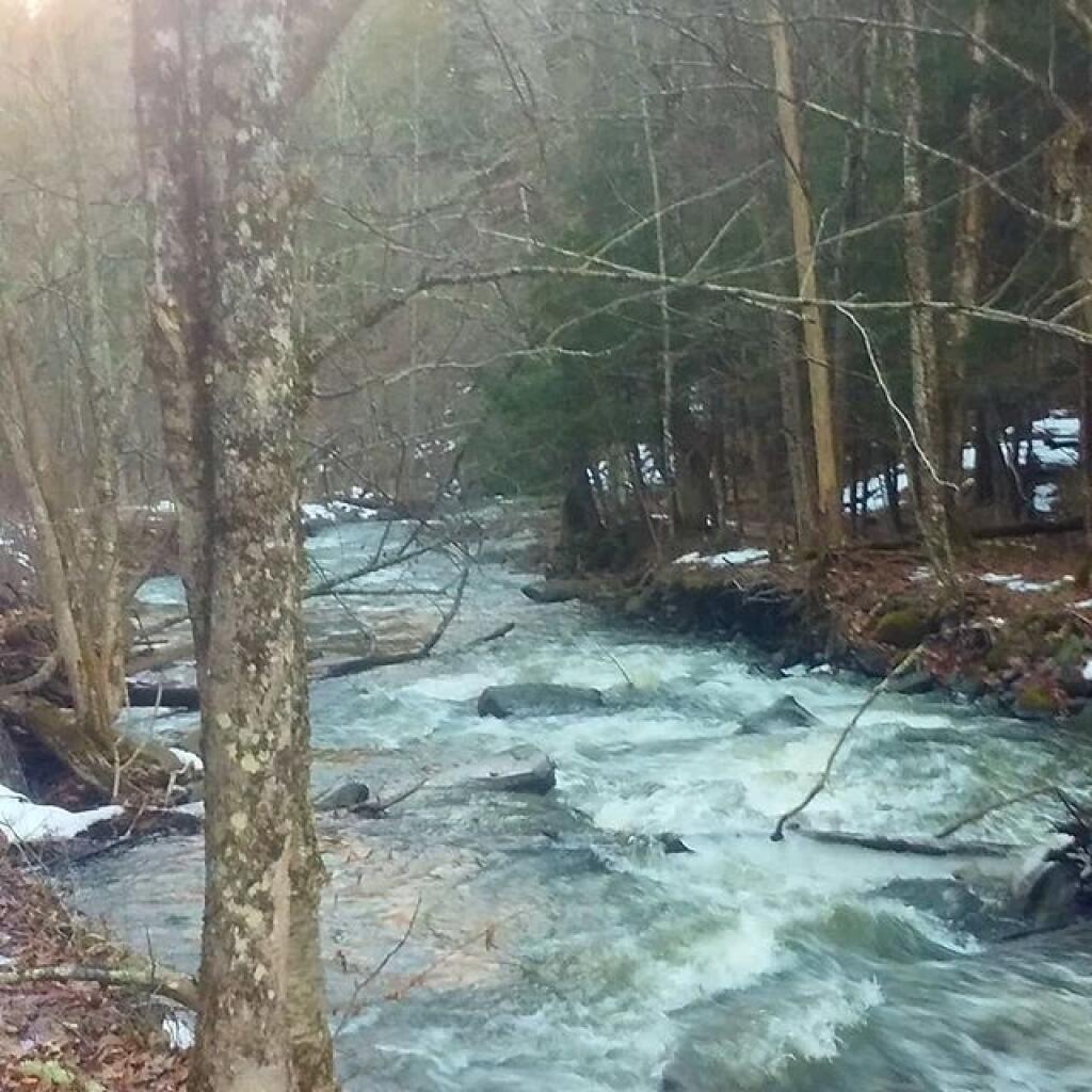 Photo: Good flow today Photo: Good flow today