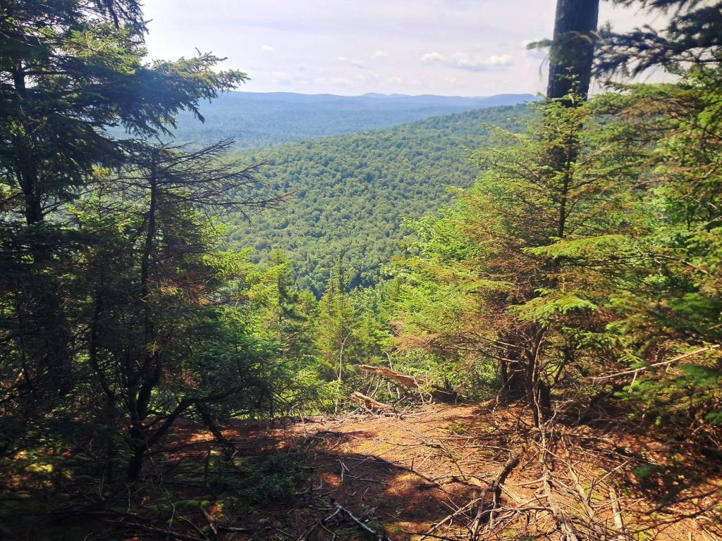 Photo: Mitchell Pond Mountain Ledge