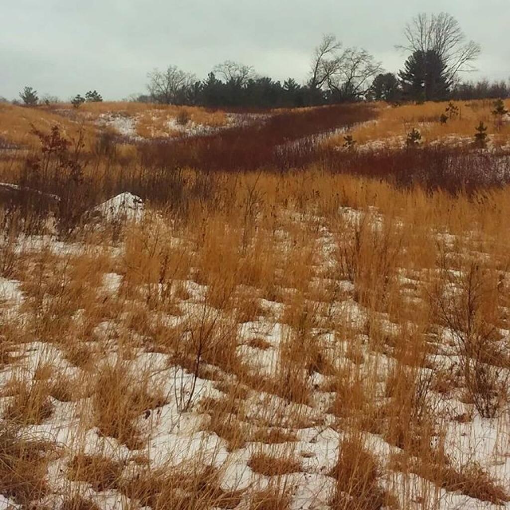 Photo: Winters colors