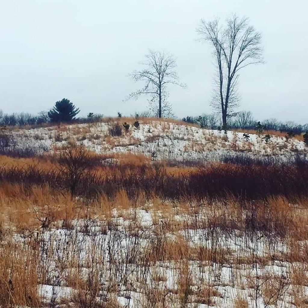 Photo: Dune